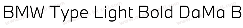 BMW Type Light Bold DaMa BMWType Bo字体转换